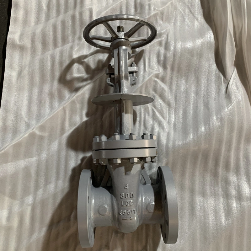 Manual Operated Cast Steel Wcb Gate Valve Bolted Bonnet 2~48 Inch for Oil Industry